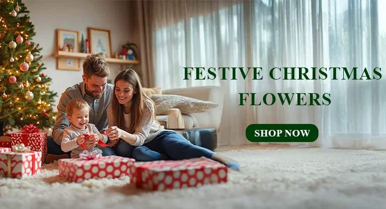 Send Christmas Flowers Online